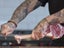PTN New Paring Knife Sale Sale Sale Carousel 6