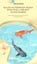 2022 Newest 2.4G Remote Control Shark Boat Simulation Toy Swimming Pool Bathroom Carousel 9