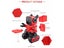 PTN New Kids Toys Intelligent RC Robot Sale Sale Sale Carousel 8