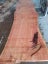 Macrocarpa slabs Carousel 5