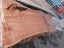 Macrocarpa slabs Carousel 7