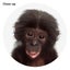 Baby Monkey Art Print - A4 Carousel 2