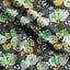 Soimoi Watercolor Floral Print, Poly Taffeta Fabric, Decor Sewing Fabric by The Carousel 1
