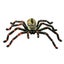 Science and Nature Huntsman Carousel 1