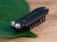Insect Kids Millipede Toys Magic Solar Powered Carousel 6