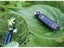 Insect Kids Millipede Toys Magic Solar Powered Carousel 8
