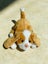 Hasbro Furreal friends small puppy dog Carousel 5