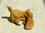 Hasbro Furreal friends small puppy dog Carousel 4