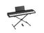 PTN New Electric Piano Foot Sustain Pedal Sale Sale Sale Carousel 3
