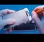 iPhone,iPad&Laptop screen Repair from $49 Auckland Carousel 4