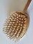 Old Fashioned Vanity Brush with Ballerinas Carousel 6