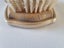 Old Fashioned Vanity Brush with Ballerinas Carousel 8