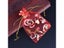 50pcs/Lot 7x9 9x12 11x16 13x18cm Printing Roses Love Christmas Organza Sack Carousel 7