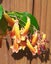 Loading Image 1 of 2