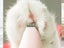 PTN New Dog Grooming Clippers Rechargeable Sale Sale Sale Carousel 4