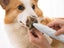 PTN New Dog Grooming Clippers Rechargeable Sale Sale Sale Carousel 9