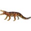 Loading Image 1 of 1