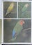 Keeping Pet Birds A Practical Encyclopedia by Don Harper Carousel 6