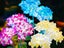 3Pcs Hydrangea Flower Solar Light LED Garden Solar Lamp Outdoor Lighting Carousel 1
