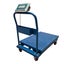 Platform Trolley Scales 500KG Carousel 3