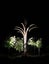 BULLRUSH / RAUPO PLANT aka ALF .. 1.6metres tall Carousel 4