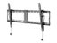 Loading Image 1 of 1
