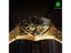 WINNER Triangle Skeleton Gold Black Watch For Men Automatic Mechanical Carousel 5