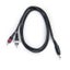 EWI 3.5mm TRS Jack To 2 x RCA Jacks 20 Ft Carousel 1