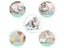 Interactive Pet Kitten Toys NZ Clearance Carousel 3