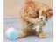 Interactive Pet Kitten Toys NZ Clearance Carousel 10