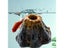 Fish Tank Accessories Carousel 5