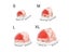 Winter Cute Cartoon Rabbit Squirrel Mini Cage Guinea Pig Nest Small Animal Mice Carousel 7