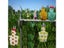 New Parrot Diaper With Bowtie Cute Colorful Fruit Floral Cockatiel Pigeons Carousel 5