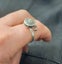 Spinning ring Carousel 5