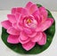 Floating flowers, set of 3, 17cm across. Ideal for ponds. Carousel 2