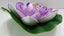 Floating flower, purple, 17cm across. Ideal for ponds. Carousel 2