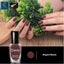 Brand New 10Pcs Makeup Bulk lots Set Gel Nail Polish Set*Hot SALE Carousel 16