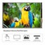 3.5" Touch Screen Display For Raspberry Pi 3/2/B/B+/A/A+ Carousel 3