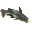 Loading Image 1 of 4