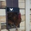 Automatic Chicken Coop Door Light Sensing Evening and Morning Delayed Opening Ti Carousel 4