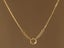 Necklace Stainless Steel Round Circle Pendant Gold Plated Necklace Carousel 4