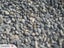 PAPATOETOE YARD - TOPSOIL / WHITE CHIP / SCORIA Carousel 13