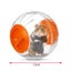 Cute Hamster Running Ball Silent Exercise Wheel -Orange Carousel 2