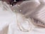 Pearl Bracelet 55cm Carousel 3