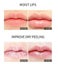 Nature Lip Plump Day Night Ginger Mint Liquid Nourishing and Moisturizing Lip Carousel 6