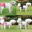 PTN NEW Disposable Dog Diapers Sale Sale Carousel 5