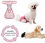 PTN NEW Disposable Dog Diapers Sale Sale Carousel 7