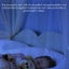 Mosquito Net Canopy Insect Bed Canopy Dome Tent Lace Netting Mesh Prin Carousel 5