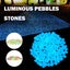 300PCS Luminous Pebbles Stones,Luminous Stones Glow in The Dark Garden Carousel 4