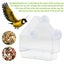 Wild Bird Seed Feeder Window Suction Nut Feeding Garden Feeders Station Carousel 4